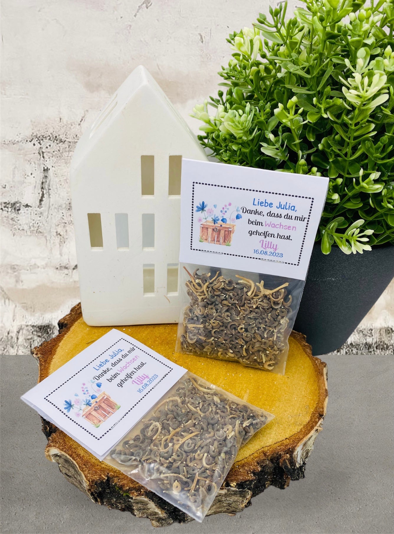 Gastgeschenk Einschulung-Gastgeschenk-Einschulung-Schulanfang-Schultüte-Schulbeginn-Schulkind-Einschulung Gastgeschenk-Einschulungsfeier-Einschulung Deko-Einschulung Geschenk-Einschulungsgeschenk-Geschenk Schulanfang-Geschenk für Gäste