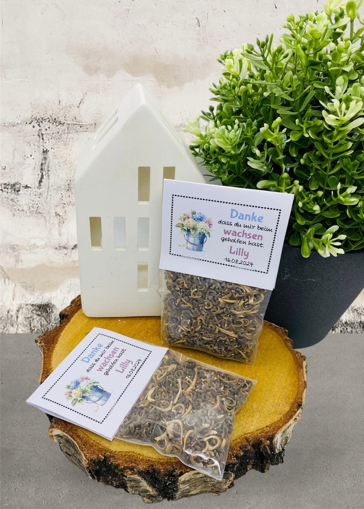 Gastgeschenk Einschulung-Gastgeschenk-Einschulung-Schulanfang-Schultüte-Schulbeginn-Schulkind-Einschulung Gastgeschenk-Einschulungsfeier-Einschulung Deko-Einschulung Geschenk-Einschulungsgeschenk-Geschenk Schulanfang-Geschenk für Gäste