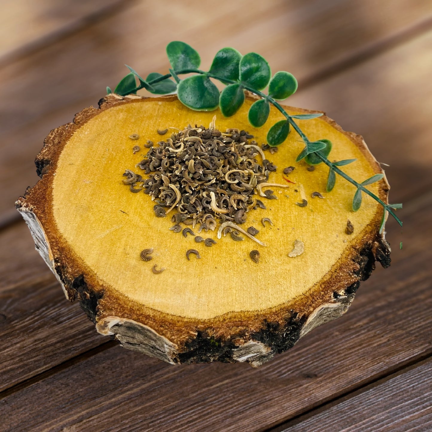 Udsøgte gæstegaver til dåb, nadver, første nadver og konfirmation! Hver gave afsluttes med et personligt klistermærke og et eukalyptuskransdesign.