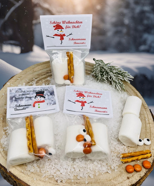 Gastgeschenk Weihnachten/ Schneemann- Bausatz/ Mitgebsel Weihnachten/ Wichtelgeschenk Weihnachten/ Weihnachtsfeier/ kleine Aufmerksamkeit Weihnachten